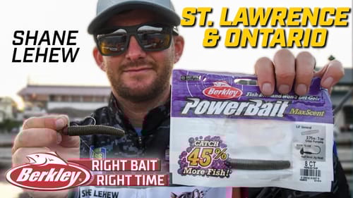 Berkley Right Bait at the Right Time for Shane LeHew at the St. Lawrence River