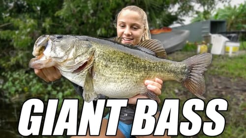 Common Household Item Catches GIANT BASS