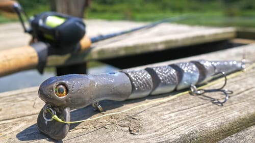 Bass Eat SNAKES!?