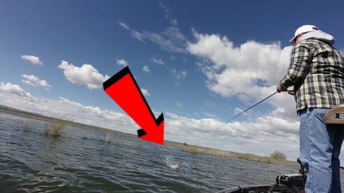The Myth of Deep Winter Bass | Bass Fishing