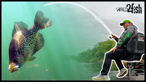 6 Tips for Successful Crappie Fishing