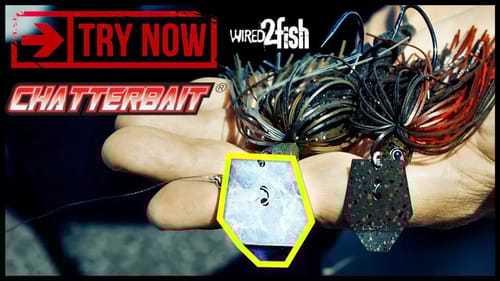 5 ChatterBait Variations You Need to Try Bass Fishing With
