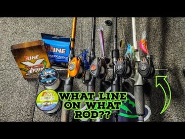 What Line Do I Use On ALL Of My Rods?? || Every Technique Explained