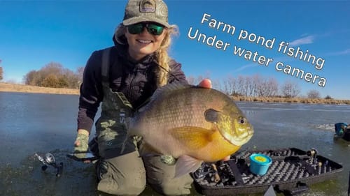 ICE FISHING with underwater camera on muddy farm ponds