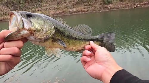 Deadly Fall Time Cold Water Techniques!