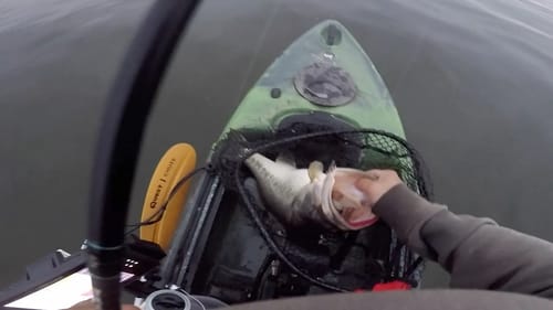 Building Confidence in Dropshot Fishing (9lb bass)