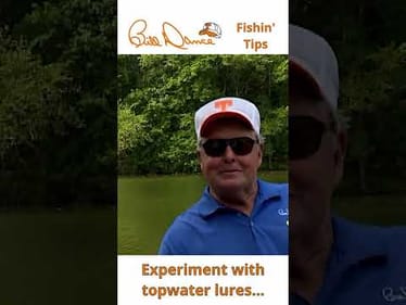 Bill Dance Fishin' Tips: Experiment with topwater lure choices...