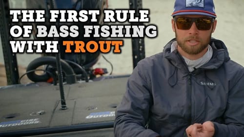 BIG Bass LOVE 😍 To Eat Trout