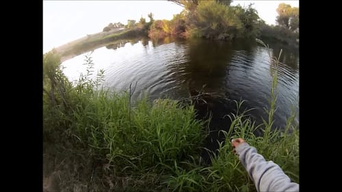 Decent Swimbait Bass at the River