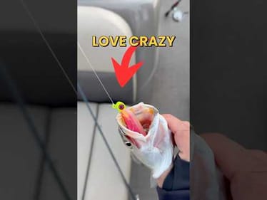 Do Saltwater Fish Really Like CRAZY Colors Better?  #fishing #fishingvideos #trout