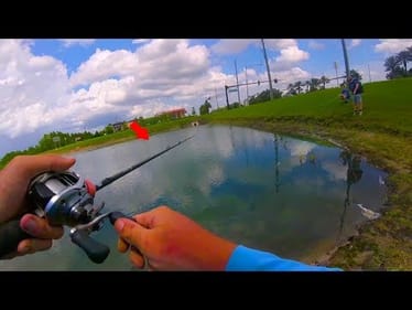 Fishing Epic Farm Ponds!