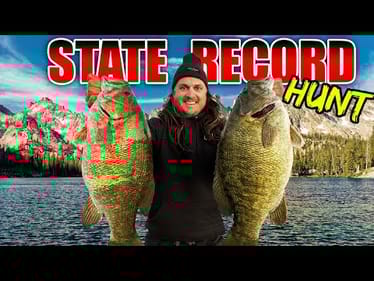 The STATE RECORD Bass Lives HERE!! One last chance to change the record books...