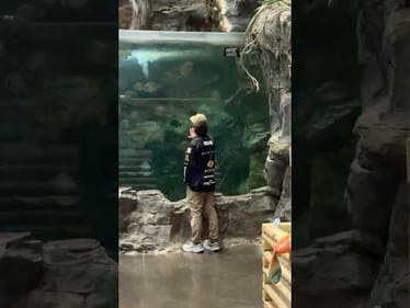 2️⃣nd day of Christmas at Bass Pro Shops