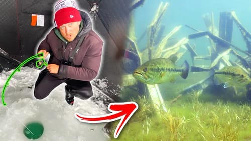 INCREDIBLE Underwater EATS Ice Fishing Man-Made Habitat!!