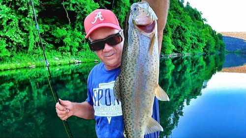 Catch Trout EASY With This SIMPLE Setup!!!