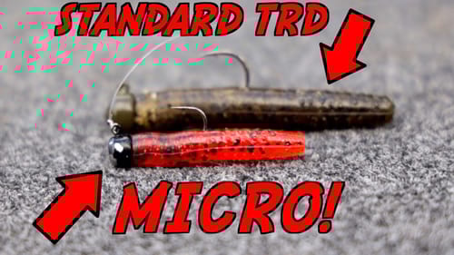 MICRO Ned Rig Catches BIG Smallmouth Bass!