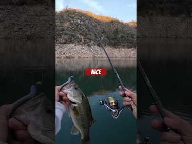 There’s something about stepping on the boat… time slows down & the world gets quiet 🎣🐟 #bassunion
