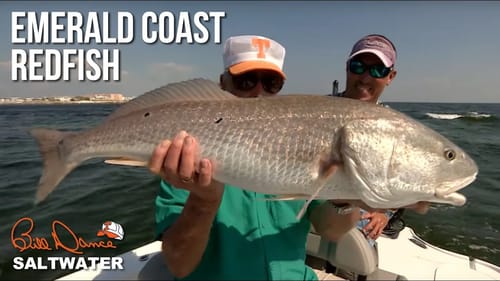 Emerald Coast Redfish | Bill Dance Saltwater