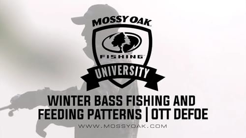 What Do Bass Eat in the Winter   Ott DeFoe Fishing Tips