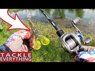 THESE Toad Fishing SECRETS Will BLOW YOUR MIND