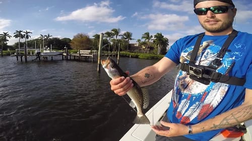 Inshore Fishing with LunkersTV