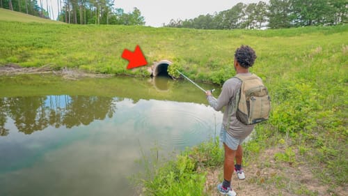 Texas Rig Fishing For BIG Spawning Bass (Catching GIANTS In Ponds)