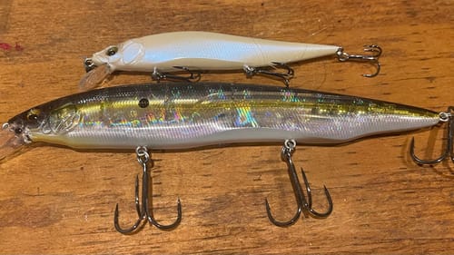 Why Expert Jerkbait Anglers Use Big Jerkbaits…(And Average Anglers Don’t)