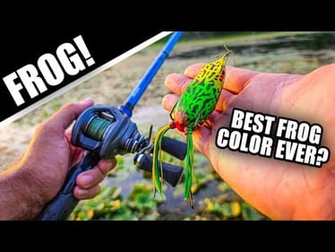 Summertime Frog Fishing CATCHES BASS (Bank Fishing Tips)