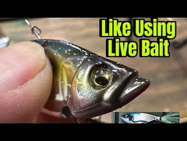 Pros Have Been Keeping This New Lure Quiet From Y’all…