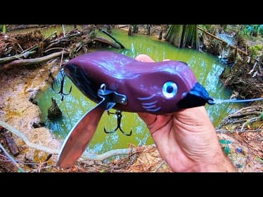 Fishing a HUGE BIRD LURE for a monster fish!