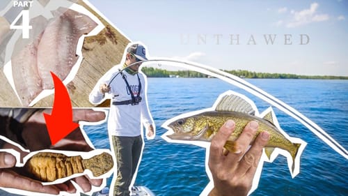 SUCKER FISH vs PERCH Catch & Cook | Live Worm Bottom Fishing