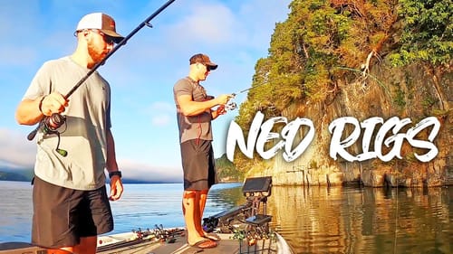 NED RIG FISHING In The Fall/Winter Months To Catch MORE BASS!