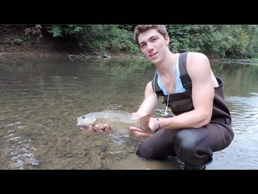 Part 2: How To Fish Creeks and Streams