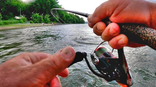 WADING A DAM WITH LIVE BAIT! (WHAT HAVE I HOOKED!!!)