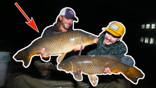 Camping & Carp Fishing By The River (Carp Fishing)