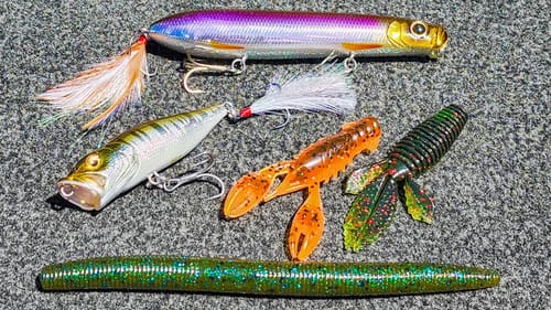 Topwater Popper and BFS (Bait Finesse) For Spring Bass!
