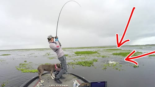 I LOVE this TECHNIQUE for Tournament Fishing (My SPRING Punching TRICKS!!!)