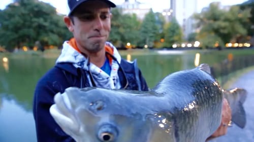 Going Ike!!! Bank Fishing in Central Park - Part 2 (Ep. #8)