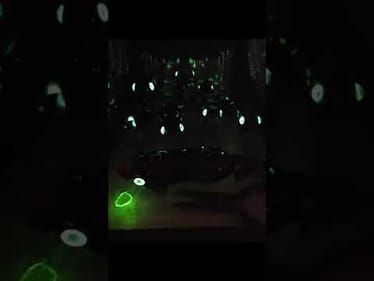 Glow in the dark eyes!  They are watching