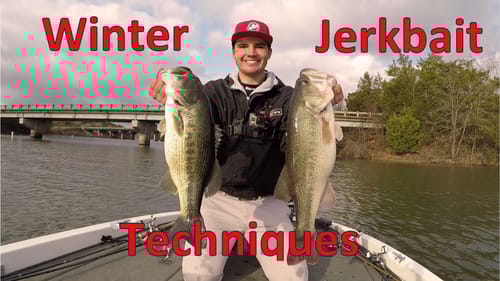 How to Fish Suspending Jerkbaits for Winter Bass - Lake Dardanelle