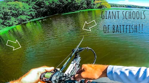 BIG BASS Were CHASING Massive Schools of Baitfish!! || Fishing the Summer to Fall Transition