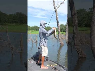 Sometimes You Got to Throw Something Different!