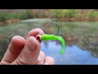 Ultra HIDDEN POND Was LOADED W/ Fish!!