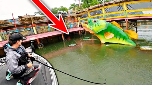 The LAST PLACE I Expected to Catch these MONSTER Fish!!