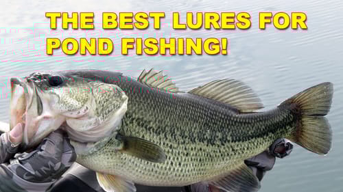 3 Best Lures For Pond Fishing | Bass Fishing