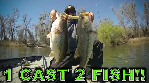 Two GIANT Bass, One Cast!! Craziest Fish Catch EVER!