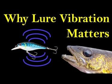 Fishing Lures for Beginners - Understanding Lure Vibration
