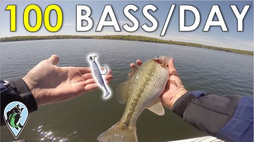 Offshore Bass Fishing Technique You've NEVER Tried Before! Fishing Swimbaits Uphill