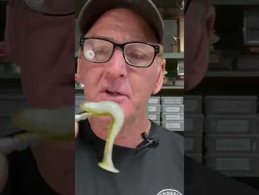 Best Lure Ever For Finicky Bass..,