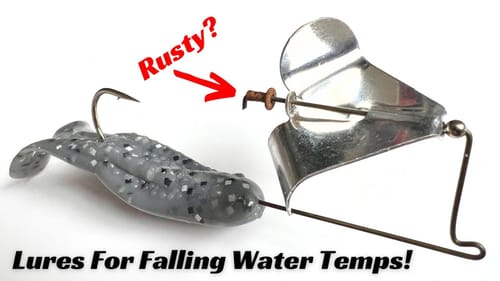 The Best Baits For Falling Water Temps!